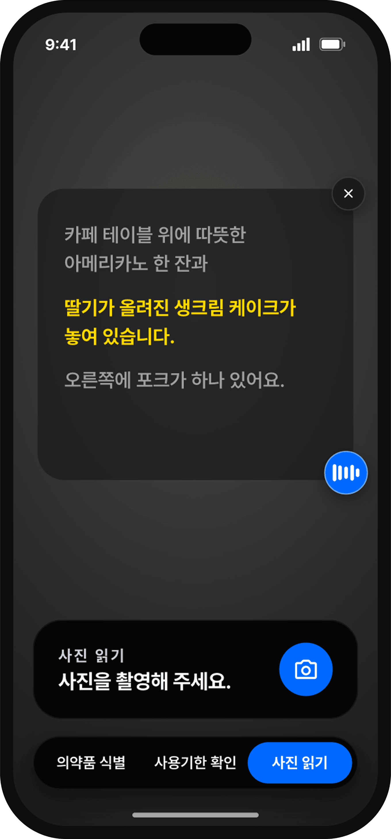 사진 설명